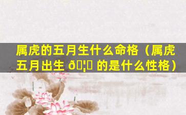 属虎的五月生什么命格（属虎五月出生 🦄 的是什么性格）